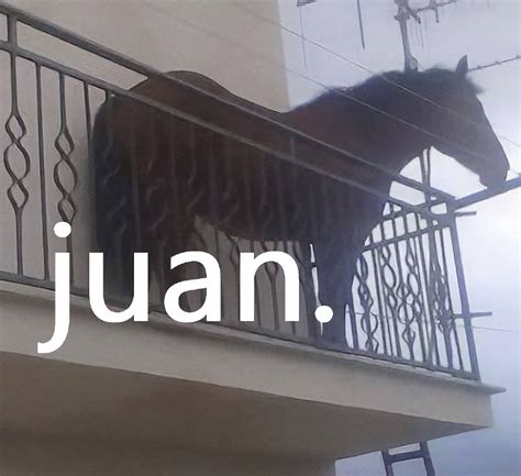 <strong>Juan El Caballo</strong> Loco Biography and Career: <strong>Juan El Caballo</strong> Loco was born on June 24, 1998, making him 22 years old. . Juan el caballo